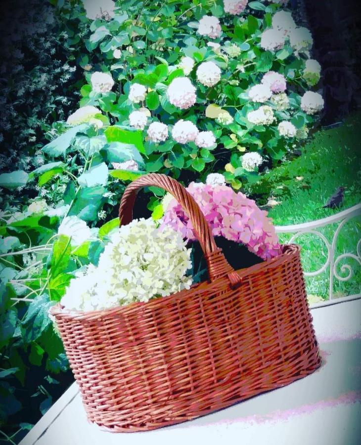 Hotel Sant'Andrea Santa Margherita Ligure Luaran gambar